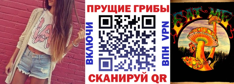 Галлюциногенные грибы GOLDEN TEACHER  цены наркотик  Белая Холуница 